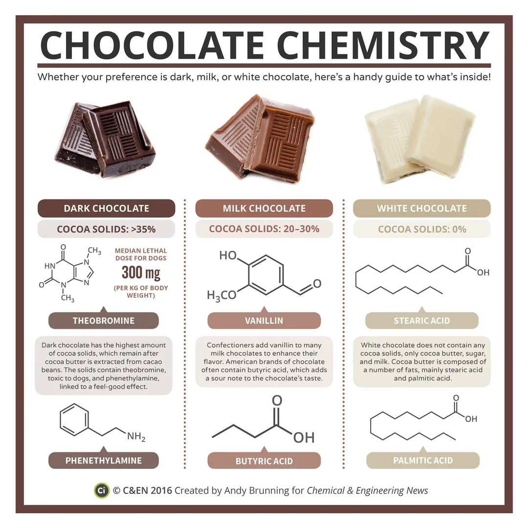 Cacao - cocoa - socola phân biệt như thế nào? Cái nào tốt hơn cho sức khỏe chúng ta?