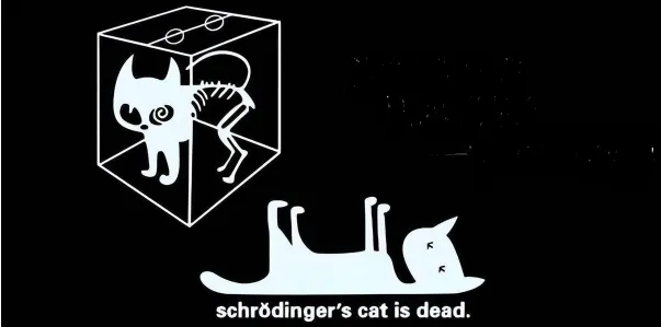 Bạn đã bao giờ nhìn thấy một con mèo vừa chết vừa sống chưa? Giải thích về con mèo của Schrödinger