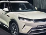 Cổ phiếu của "ông trùm" xe điện Trung Quốc bắt đầu lao dốc