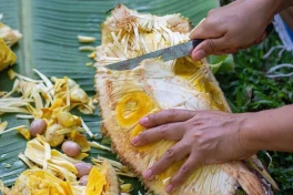 5 cách xử lý nhẹ nhàng nhựa mít