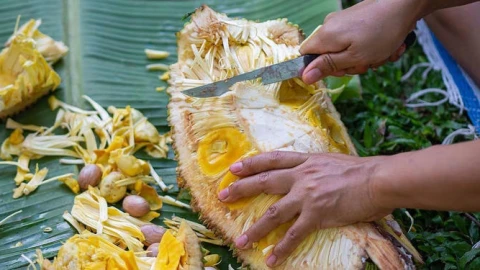 5 cách xử lý nhẹ nhàng nhựa mít