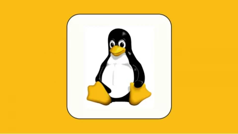Lỗ hổng trong môi trường Linux dùng chung có thể làm lộ mật khẩu và dữ liệu nhạy cảm