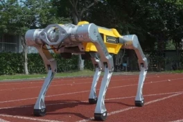 Robot chó của Trung Quốc lập kỷ lục Guinness thế giới