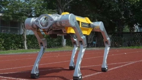 Robot chó của Trung Quốc lập kỷ lục Guinness thế giới
