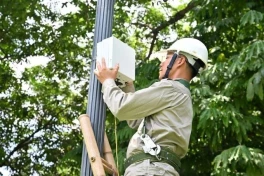 Lần một nhà mạng Việt Nam dùng AI để điều tiết mạng di động dịp Quốc Khánh 2/9