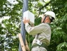Lần một nhà mạng Việt Nam dùng AI để điều tiết mạng di động dịp Quốc Khánh 2/9