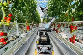 Robot nhân giống thông minh: Đột phá giúp giảm chi phí và rút ngắn thời gian lai tạo cây trồng