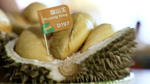 Biến "vua trái cây" thành "vàng ròng" du lịch, giấc mơ đế chế tỷ đô của người Mã