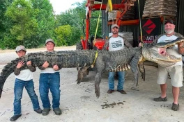 Choáng! Khủng long còn sống ở Mississippi?