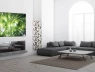 TV OLED RGB Tandem được chứng nhận "hoàn hảo" cho phòng khách sáng