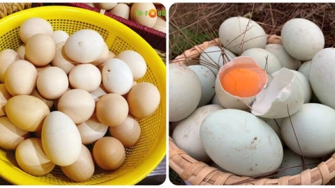 Nhóm người không nên ăn trứng gà, trứng vịt