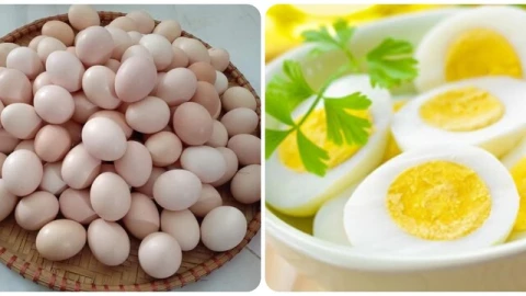 Số lượng trứng nên ăn mỗi tuần ở từng nhóm tuổi