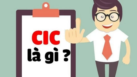 CIC là gì? Cách kiểm tra thông tin CIC cá nhân đơn giản