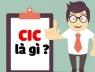 CIC là gì? Cách kiểm tra thông tin CIC cá nhân đơn giản