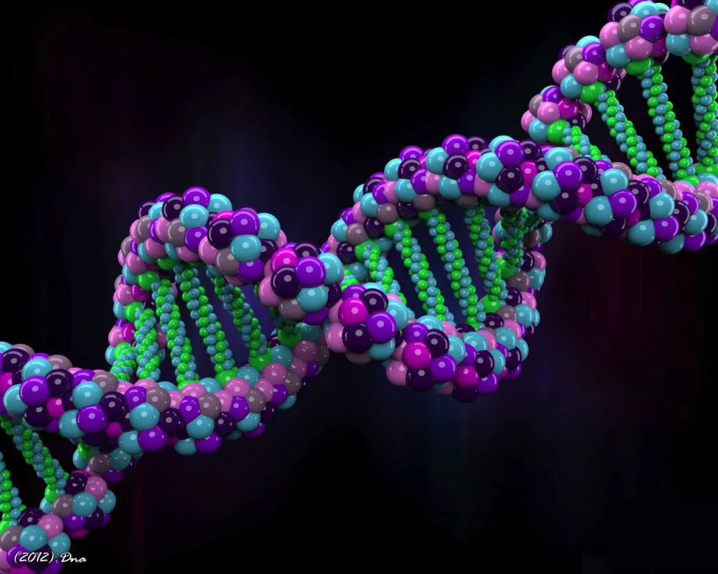 Công nghệ DNA mới khiến chúng ta phải "vẽ lại" cây tiến hóa