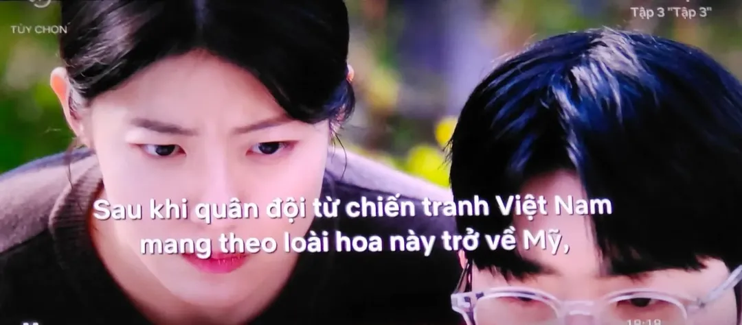 Khán giả Việt kêu gọi tẩy chay phim Little Women vì xuyên tạc lịch sử