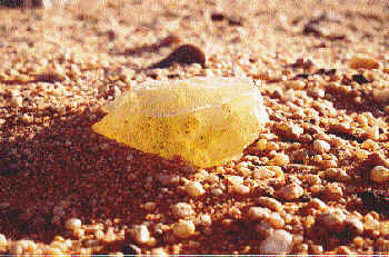Bí ẩn nguồn gốc thủy tinh sa mạc vàng LDG đã được làm sáng tỏ