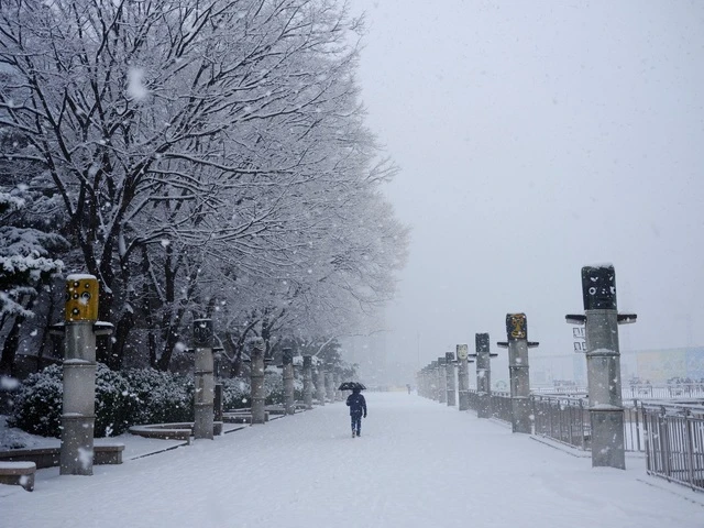 Hà Nội mặc áo cộc giữa mùa đông, còn Seoul thì tuyết rơi nhiều nhất trong hơn 40 năm