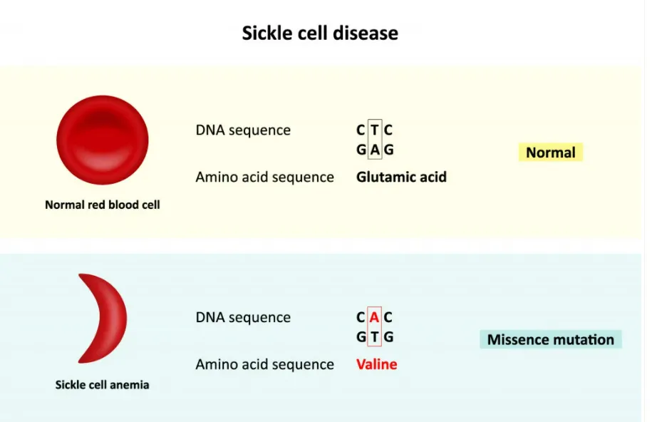 Vì sao cứ liên tục có biến chủng virus mới? Cơ chế đột biến virus