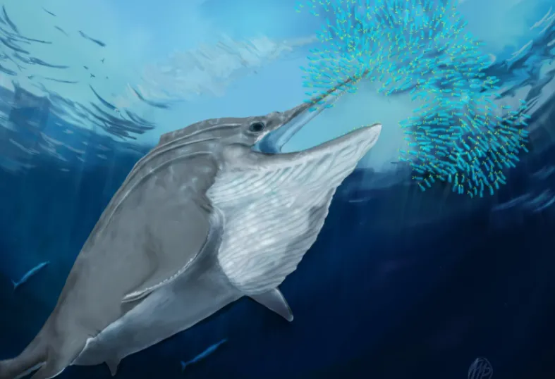 Phát hiện răng hóa thạch của loài quái vật biển khổng lồ, có thể là loài ăn thịt lớn nhất trên Trái Đất