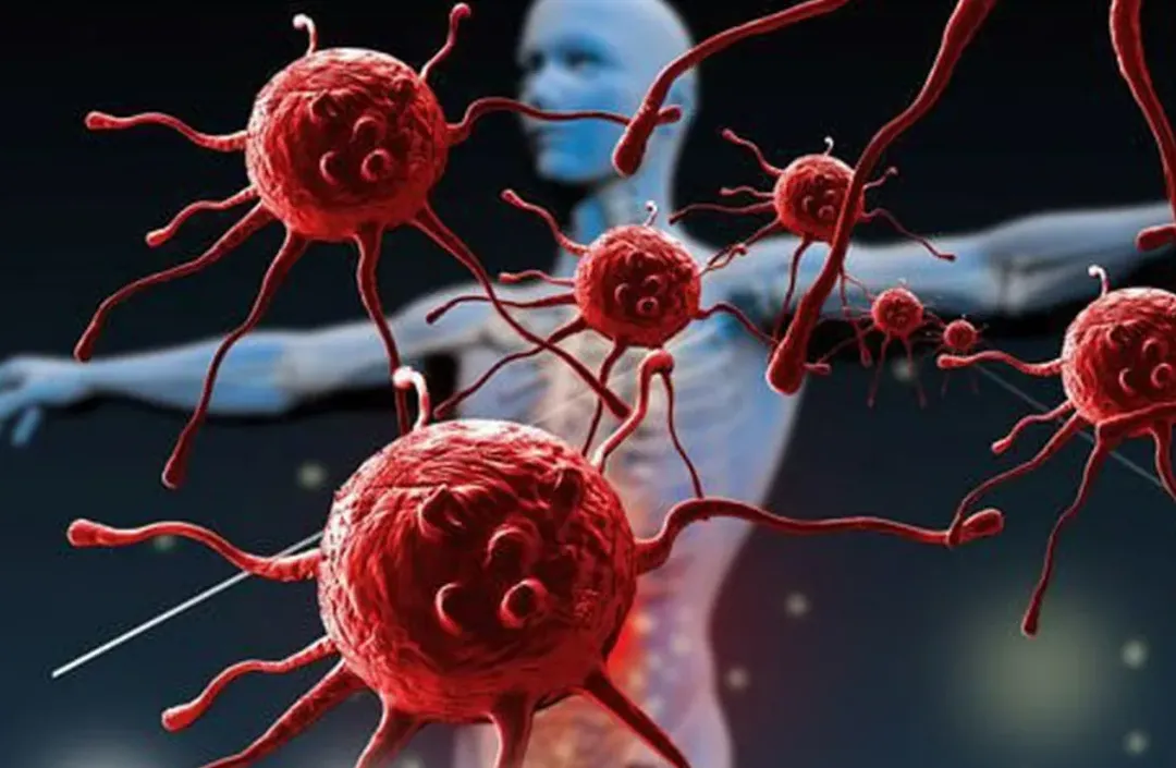 Những phát hiện bất ngờ mới về tế bào miễn dịch bí ẩn ở người