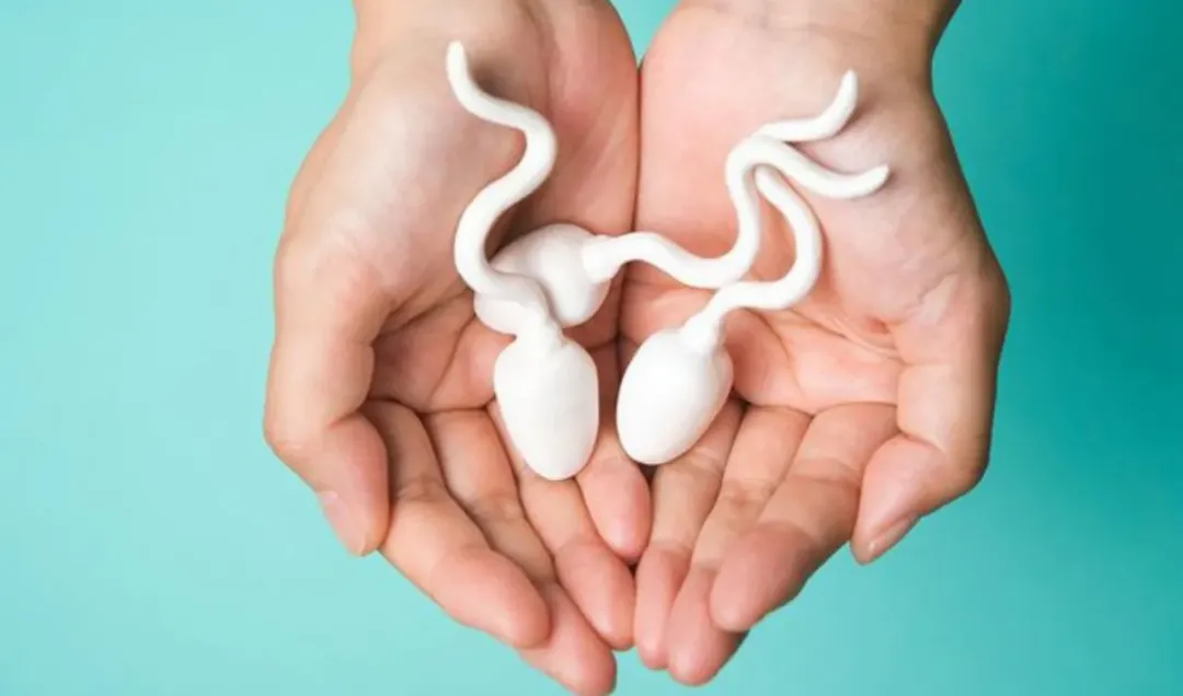 thumbnail - Single mom đi xin con hãy cẩn thận: có người hiến tinh trùng nhưng giấu bệnh di truyền đấy