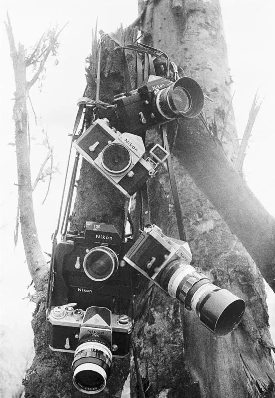 Nikon từng đi đầu cách mạng ngành nhiếp ảnh 60 năm trước như thế nào?
