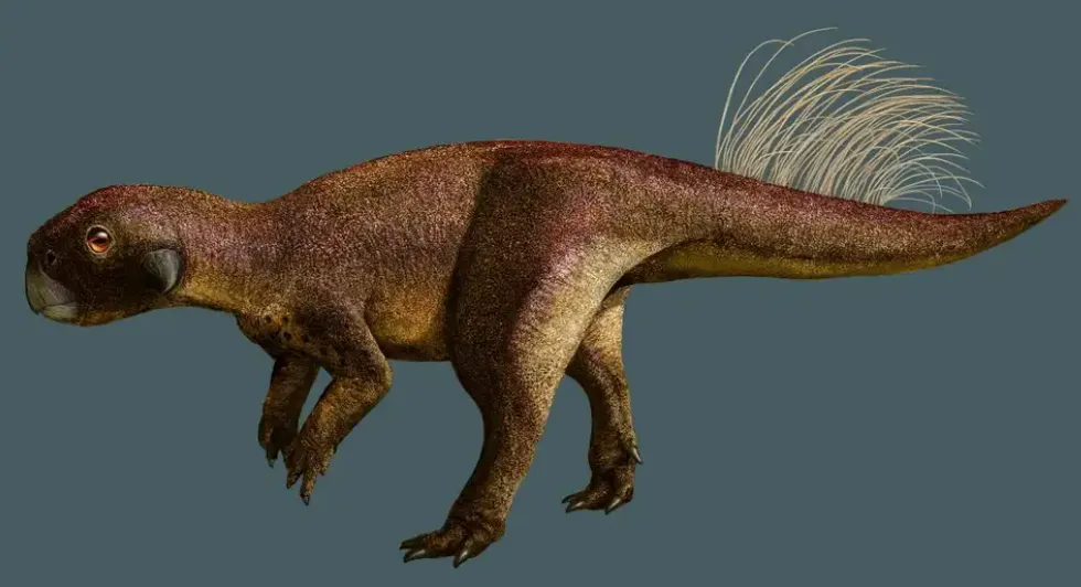 Vết sẹo trên rốn khủng long cách đây 130 triệu năm gây sửng sốt