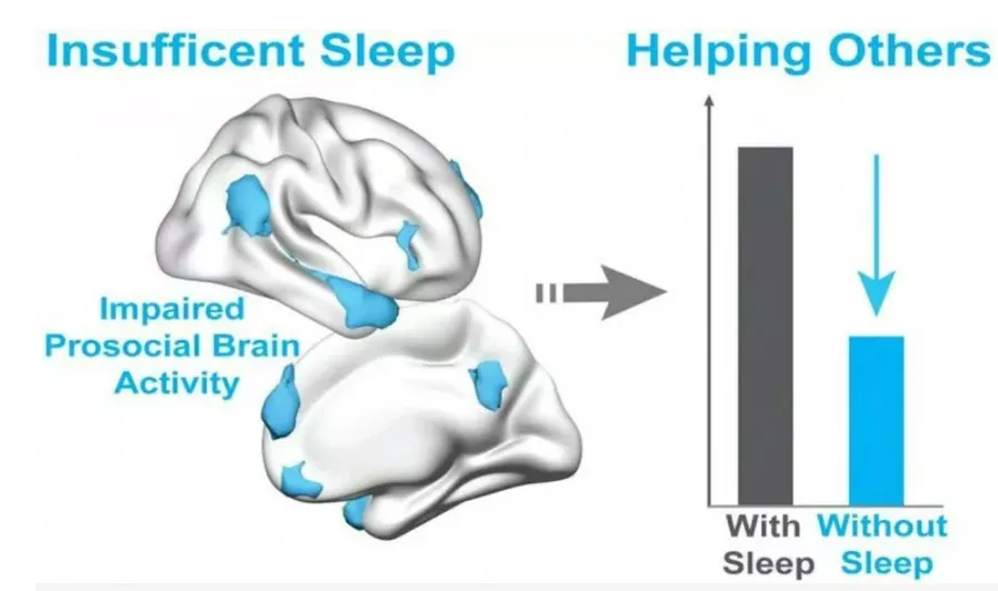 Thiếu ngủ khiến con người trở nên ích kỷ hơn, ngủ đủ giấc chính là đang đóng góp xã hội!