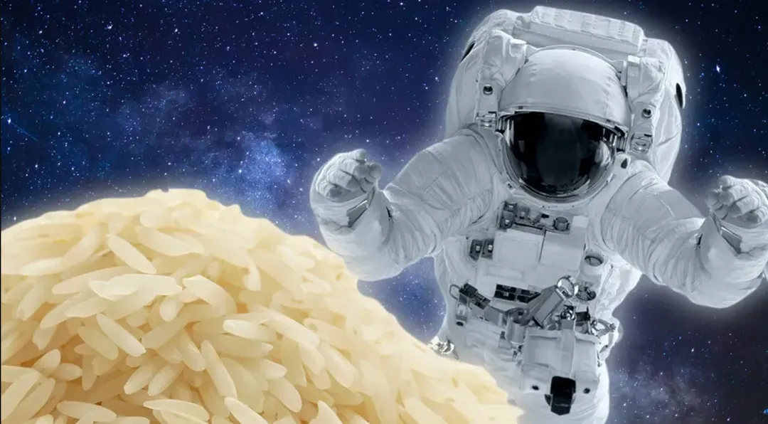 thumbnail - Trồng lúa trên trạm vũ trụ, điều không tưởng đã xảy ra!