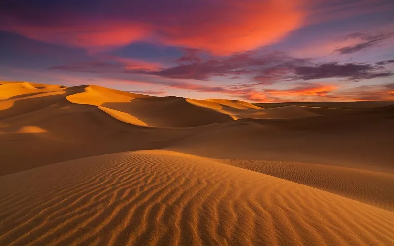 thumbnail - Các sa mạc trên thế giới biến mất có phải là một điều tốt