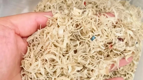 Trung Quốc thu mua móng tay người giá cao