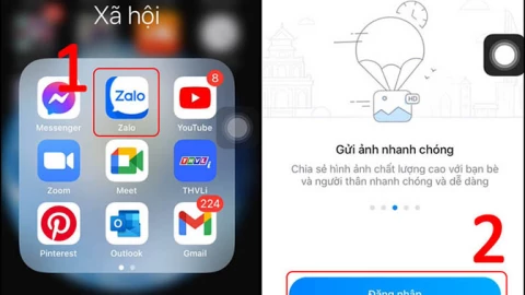 Cách lấy lại mật khẩu Zalo trên điện thoại, máy tính đơn giản nhất