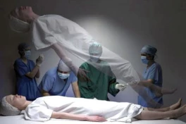 Não lợn hồi sinh sau khi chết: Khoa học đang đến gần điều gì?