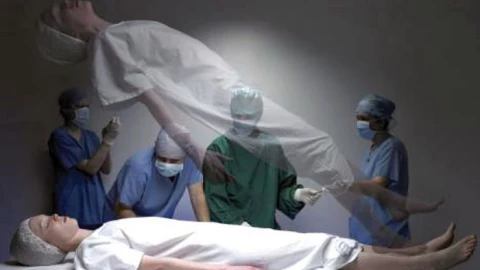 Não lợn hồi sinh sau khi chết: Khoa học đang đến gần điều gì?