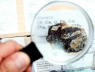 Trung Quốc và láng giềng Việt Nam đàm phán xây dựng nhà máy tinh chế đất hiếm