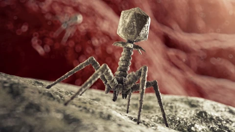 Virus nhân tạo do AI tạo ra - công cụ diệt khuẩn thay thế kháng sinh?