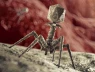 Virus nhân tạo do AI tạo ra - công cụ diệt khuẩn thay thế kháng sinh?