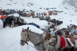 Hàng trăm người đang bị mắc kẹt trên đỉnh Everest