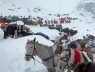 Hàng trăm người đang bị mắc kẹt trên đỉnh Everest