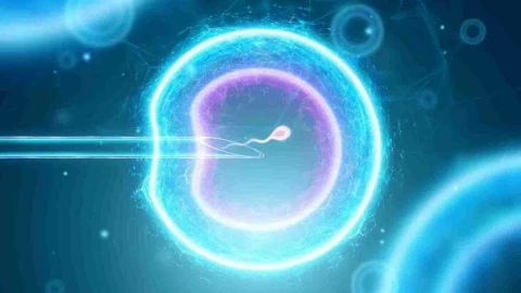 Đột phá khoa học: lần đầu tiên tạo ra trứng và phôi thai người từ tế bào da, bước tiến mới giúp con người thụ thai