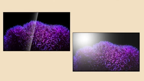 Màn hình OLED bóng cuối cùng cũng đã xuất hiện
