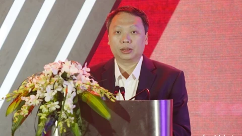 Kỹ sư công nghệ thông tin thuần túy sắp hết thời