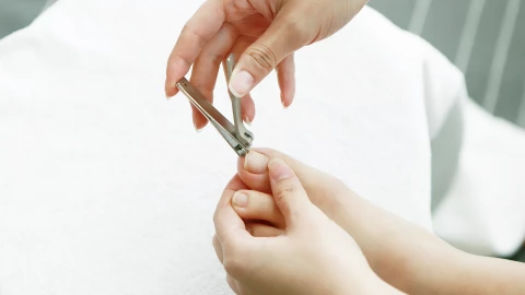 Các nhà khoa học cần móng chân của bạn