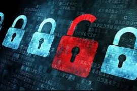 Từ Mirai đến RondoDox: Sự tiến hóa của các cuộc tấn công DDoS toàn cầu