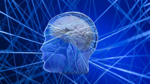 Mũ siêu âm thần kỳ: Công nghệ mới trong việc điều trị bệnh Parkinson?