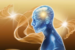 Ý thức của con người bắt đầu từ đâu? Manh mối có thể nằm ở thai nhi
