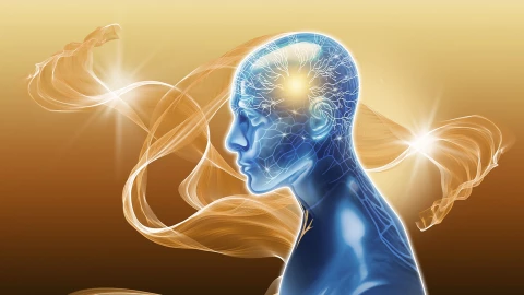 Ý thức của con người bắt đầu từ đâu? Manh mối có thể nằm ở thai nhi