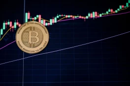Làng tiền số toàn cầu truy tìm nhân vật bí ẩn đút túi 200 triệu USD từ vụ sụp đổ Bitcoin