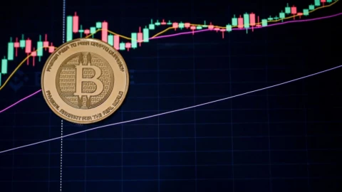 Làng tiền số toàn cầu truy tìm nhân vật bí ẩn đút túi 200 triệu USD từ vụ sụp đổ Bitcoin